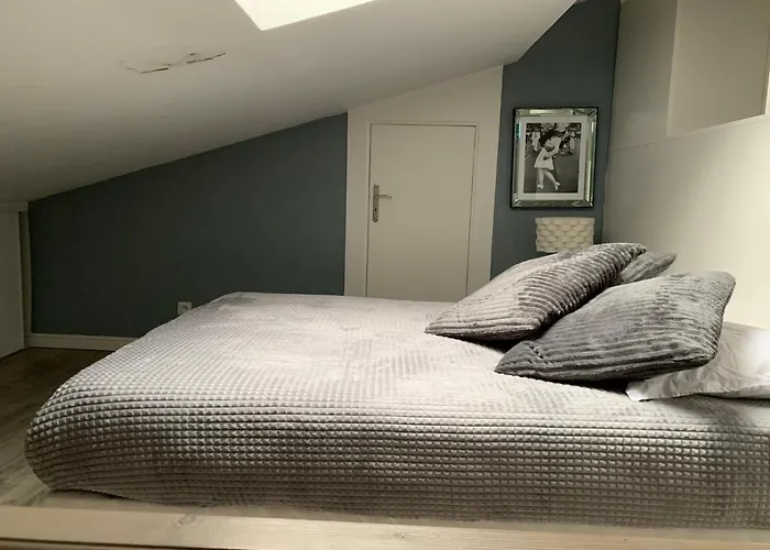 Loft Porte De Gentilly